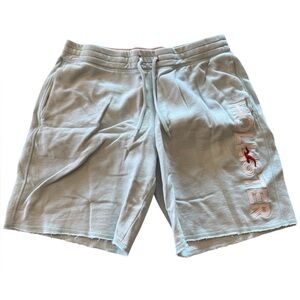 Men’s Hollister Light Blue Cloth Drawstring Shorts M